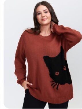 Women’s Cozy Casual Orange Cat Sweater - Size medium - NWOT